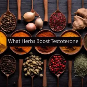 Text reads: What Herbs Boost Testosterone. Lots of different herbs in the background