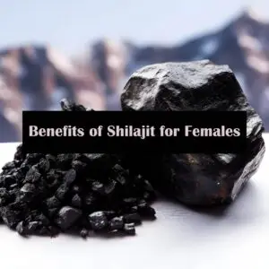 Benefits of shilajit for women